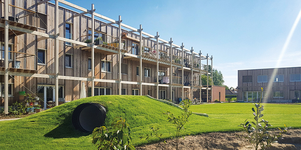 Cohousing Clementwijk, Sint-Niklaas | Cohousing met persoonlijke toets