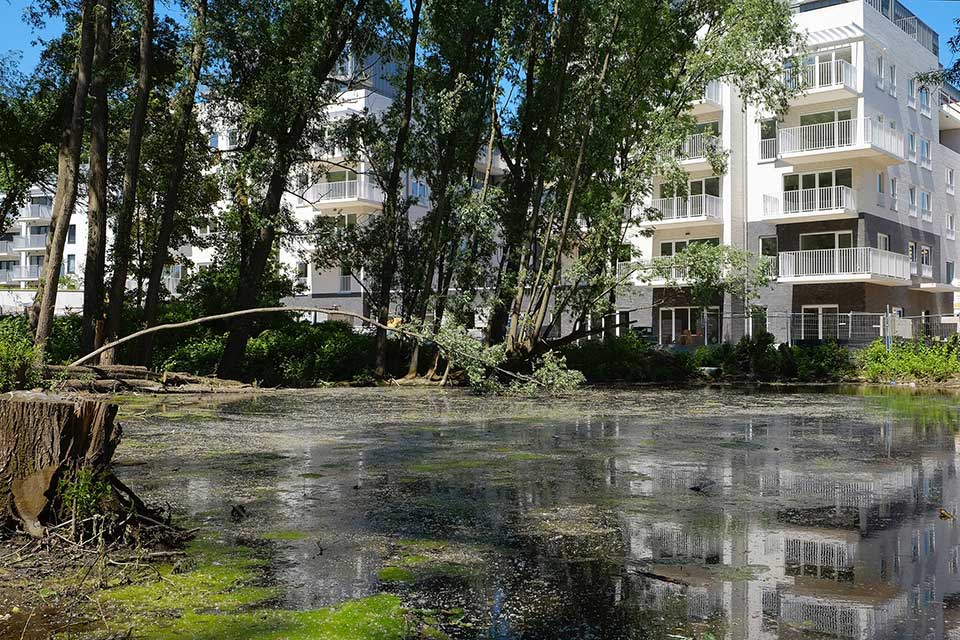 Stedelijk wonen in groene oase met beschermd moeras